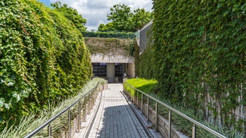 Vertical greening with climbing plants embellishes the hard solid wall with nature, creates a healing and peaceful environment which reduces stress and boosts sense of well-being.